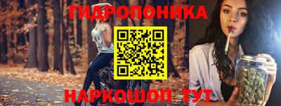 трава Бийск