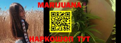 трава Бийск