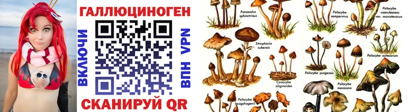 Галлюциногенные грибы мицелий  Великий Устюг 