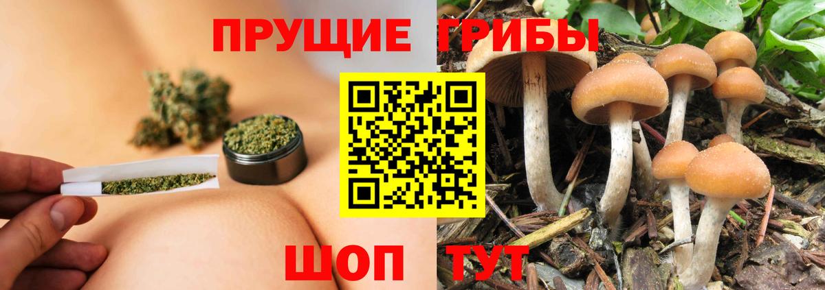 Галлюциногенные грибы прущие грибы  Вход с VPN  Великий Устюг 